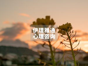 爱的力量：一个小来访的故事