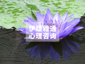 凌晨3点，观音莲睡了，我还醒着。