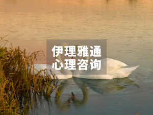学员来信：为什么我们总爱上同一类人？